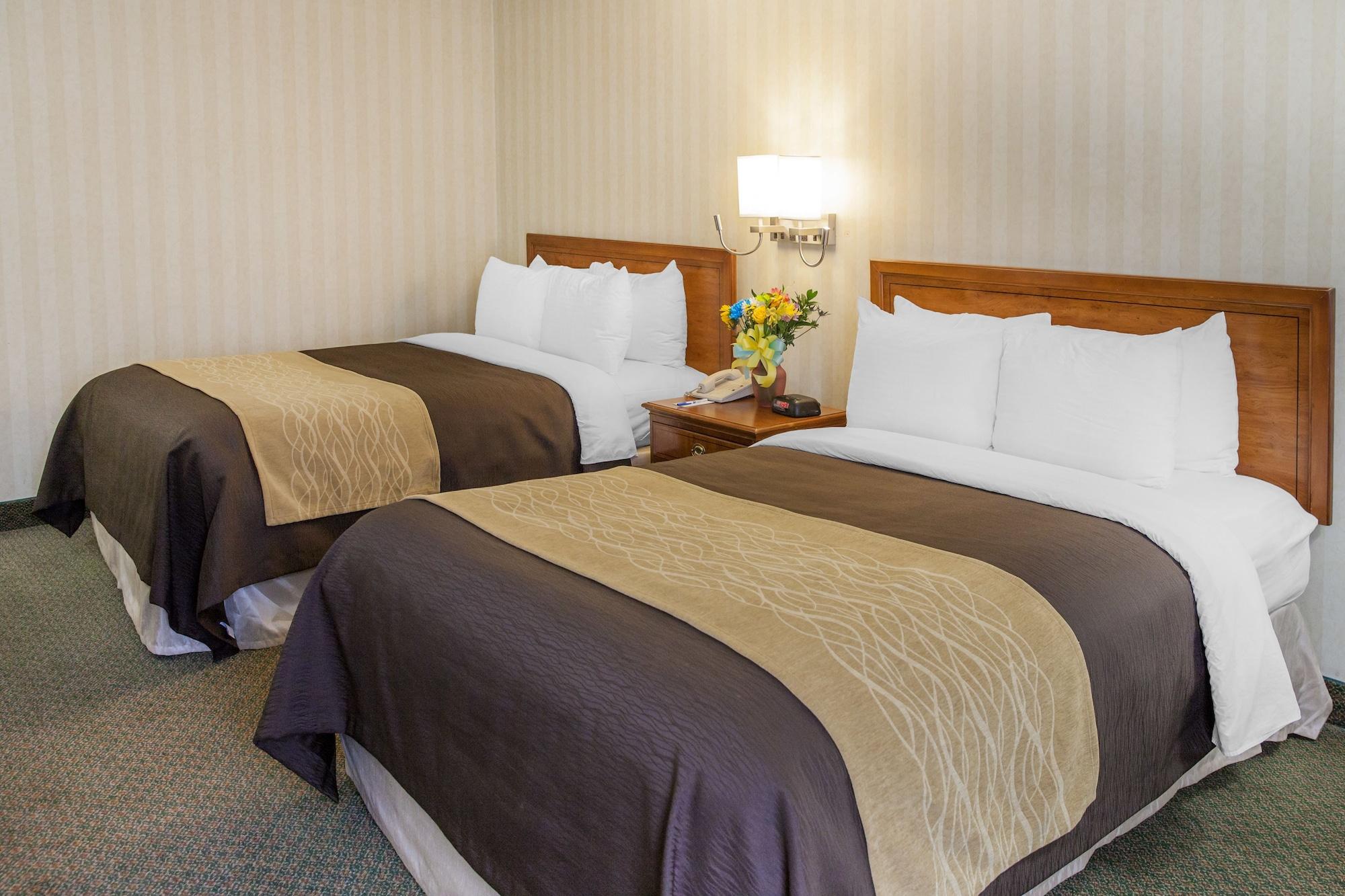 Comfort Inn Pentagon City Арлінгтон Екстер'єр фото